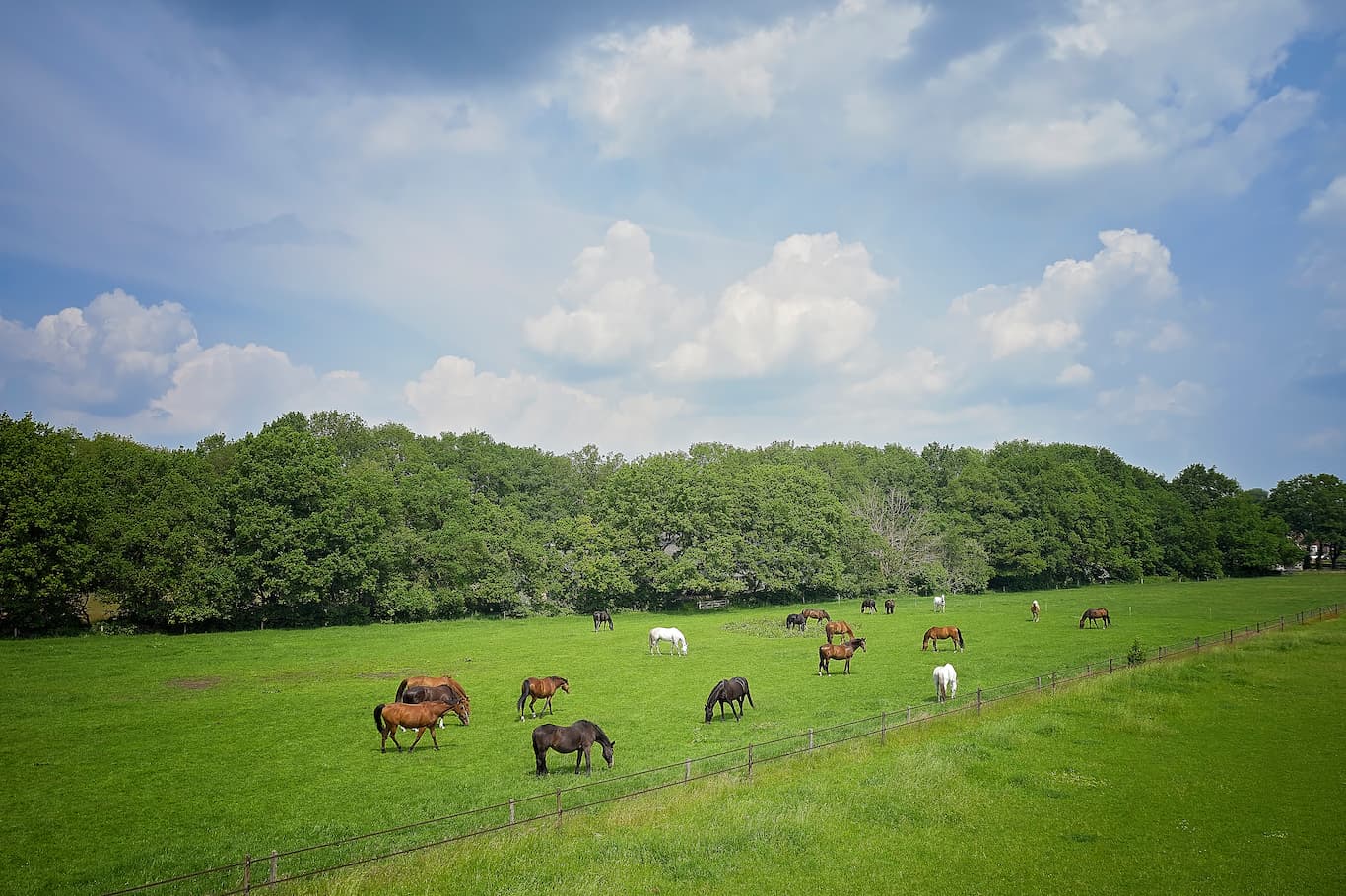 ZorgManege Westerbork